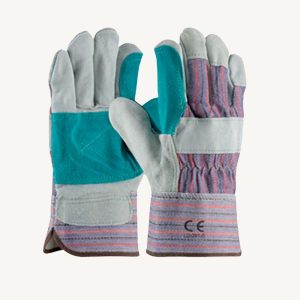 Double Palm Canvas Back Gloves